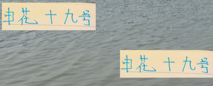 阿苏埃的申花之路：数据虽不完美，但亮点明显