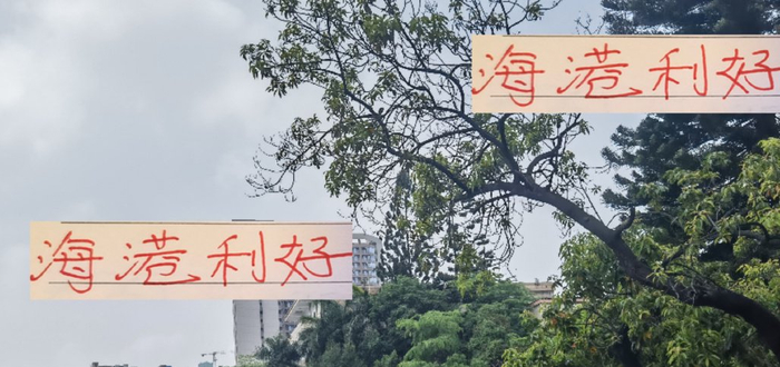 毒舌点评中超补赛：海港狂飙谁能挡？青岛海牛被拖入保级泥潭