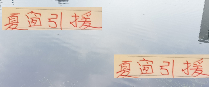 2025夏窗中超引援大盘点，浙江和海港谁是真货？