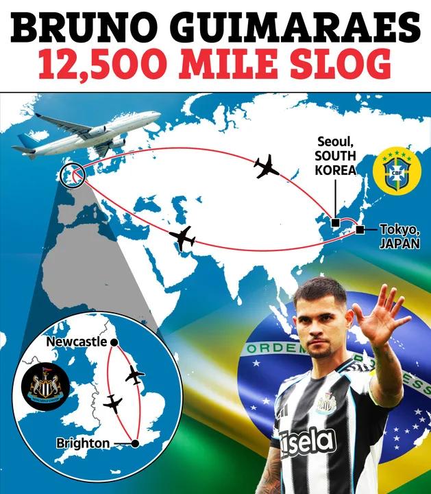 纽卡两将开启环球飞行 力争国家队与俱乐部双重使命