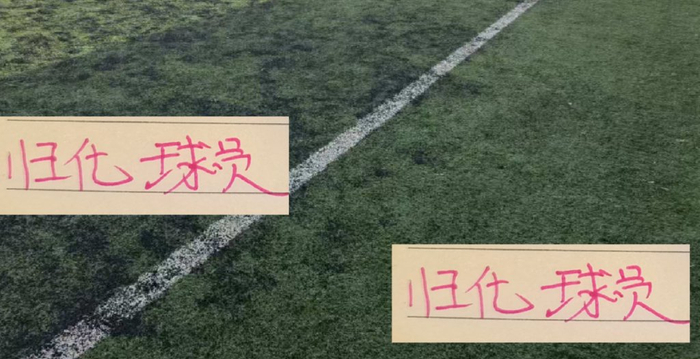 中超归化球员现状：表现抢眼但难题不少