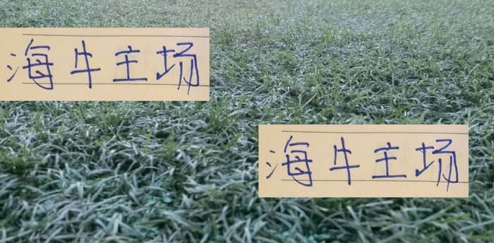 青岛海牛与上海海港：风格与实力的天壤之别