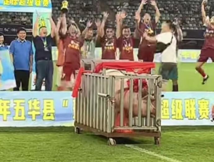 22年“县超”终极奖品竟是一头400斤大肥猪，豪门别笑，这才叫真接地气！