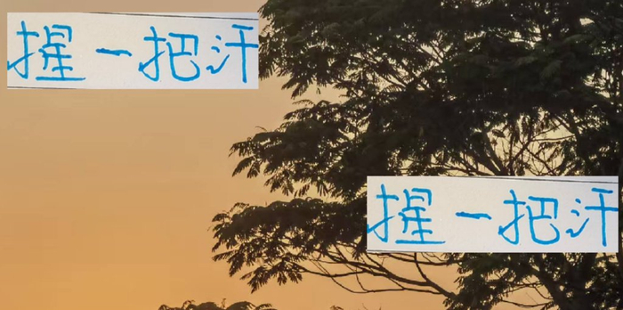 上海申花中超2比1靠老将救场，吴曦7球追平纪录，于汉超6球还在燃