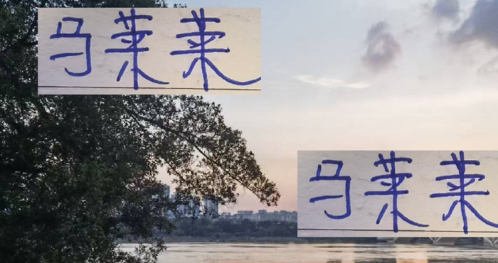 中超第27轮：申花要三连胜保夺冠希望，蒋圣龙4黄停赛成致命漏洞