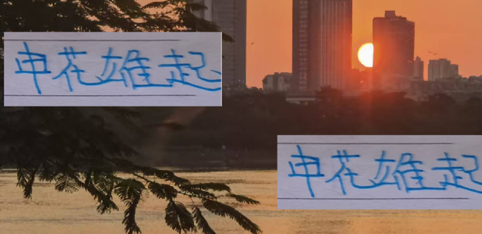 亚冠2比0！上海申花主场拿下FC首尔，路易斯替补建功救场