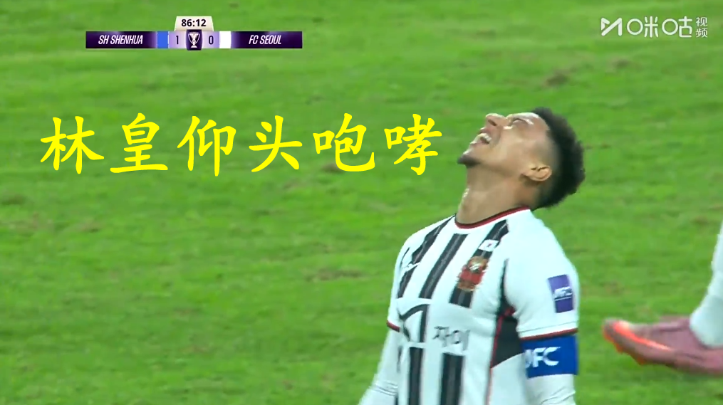 中超申花2比0击败首尔FC，亚冠拿下4分跳至第五，上港0胜成笑柄