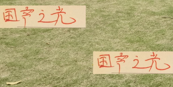 亚冠四国战绩大比拼：上海申花2-0胜首尔FC，海港和成都纷纷失利