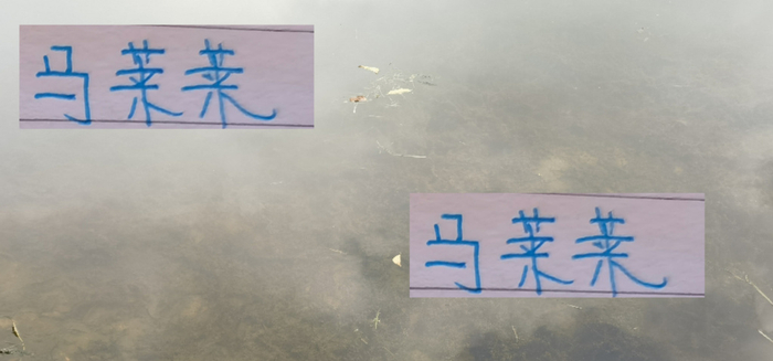 42球曾让人热血:中超上海申花的锋线真崩了?