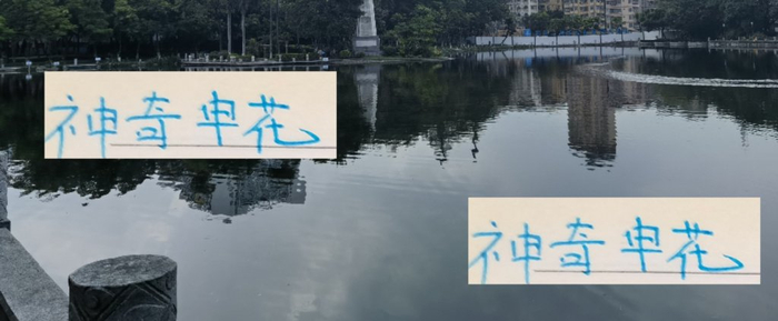 中超积分差3分！申花17胜仍被质疑，路易斯撑着进攻端