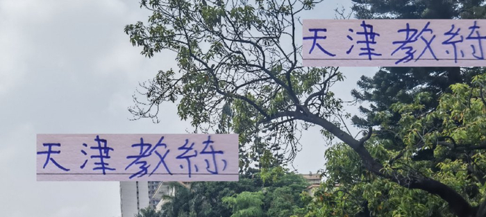 中超第30轮：上海申花冲冠最后一搏，天津能否再拿一场胜利？