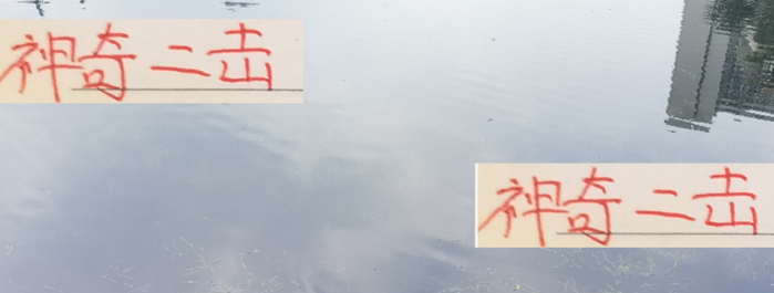 中超27轮：北京国安51分走样，上海申花落后上海海港3分仍有悬念