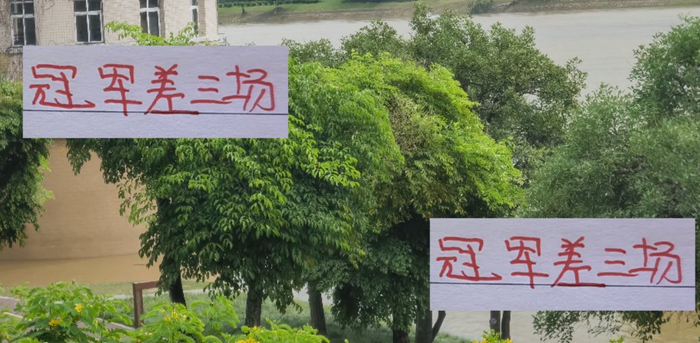 亚冠激战：成都蓉城0比2小败仍显威胁，浙江队平局难掩硬实力