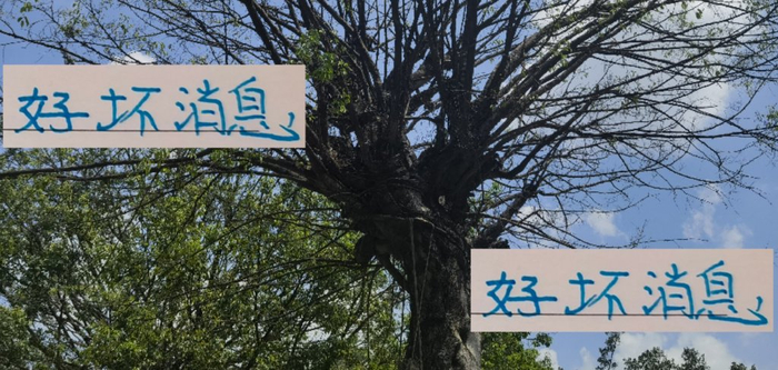 中超29轮：申花要1胜保住希望，海港2分差悬念更刺