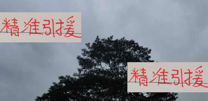 莱昂纳多21球+半场受伤，上海海港这门生意比中超还稳？