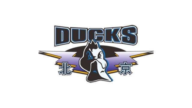 首钢当主场先热身、五棵松准备回归？北京男篮新赛季CBA主场计划含12月15日