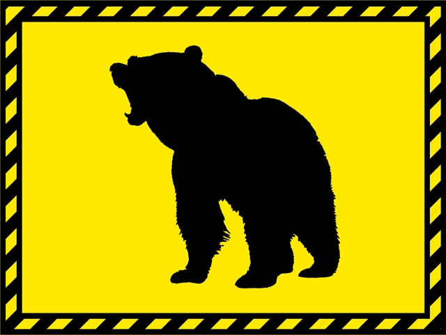 新潟天鹅取消11场公开训练，日职球迷11月日程被熊霸占，连英超都显得像度假