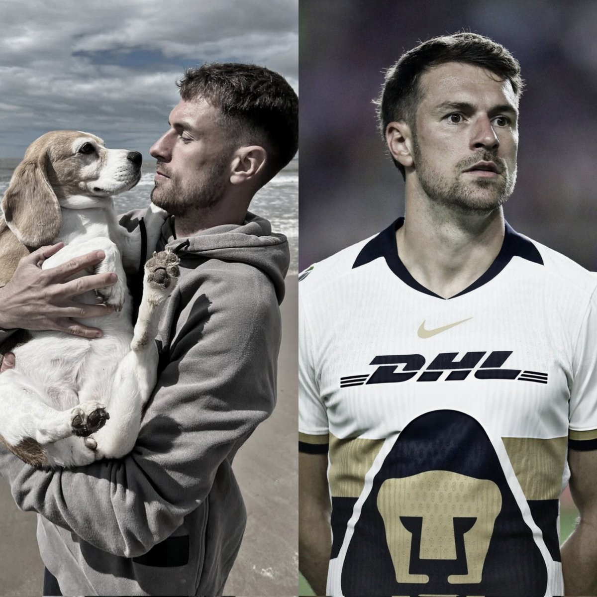 拉姆塞与美洲狮解约，6场1球，英超名宿在墨超只待半年？