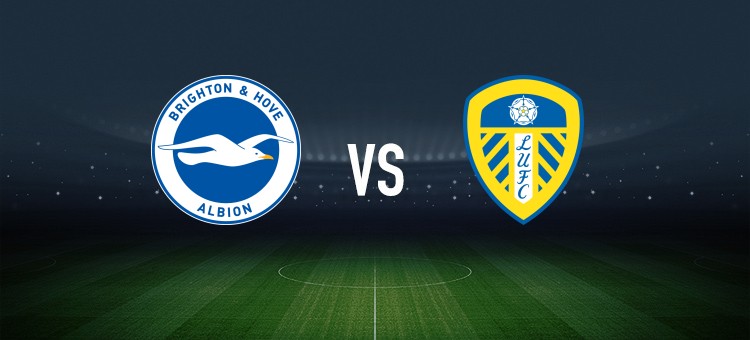 英超第10轮（北京时间11月1日）：布莱顿vs利兹联，11人首发和奇葩对位