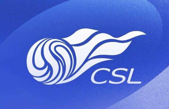 中超联赛为世界杯豪赌，9月+10月两次空窗让人替本土教练着急