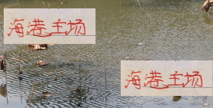 中超第29轮：海港主场破3万，31,000人看胜浙江，申花却少了百人？