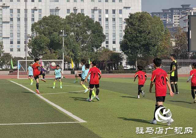 驻马店市市长杯86队开赛：青少年拼劲像英超，场面像NBA主场