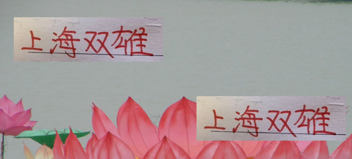 16年后又是亚军？申花1场负的“尴尬含金量”比海港4冠高不高（中超话题）