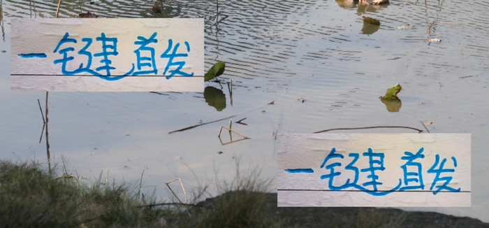 亚冠第4轮：上海申花4外援首发，中超射手路易斯14球差1球