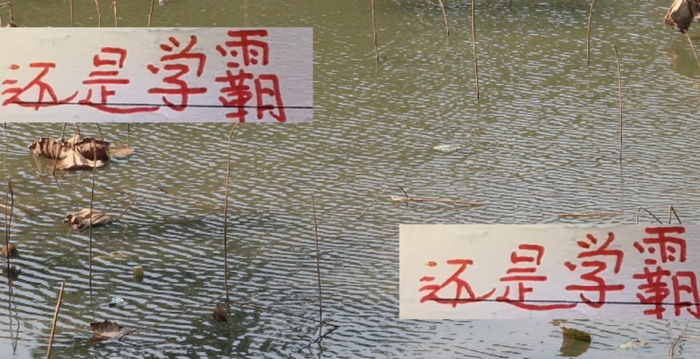 中超29轮：上海海港班里像学霸，29轮成绩还敢被喷？