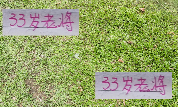 王燊超36岁还能比上海海港前锋还猛？中超33岁以上老将进球榜惊呆球迷