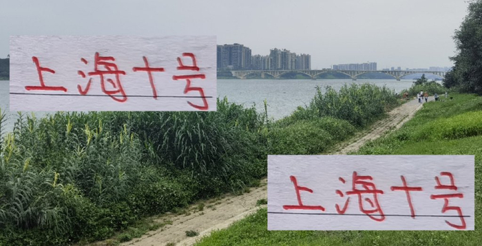 5球8助攻的维塔尔对5球9助攻的特谢拉，谁更像英超级十号？