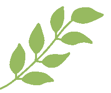 2025/11/15 14:30巅峰对决：大连VS本溪，辽超冠军能不能比英超还炸？