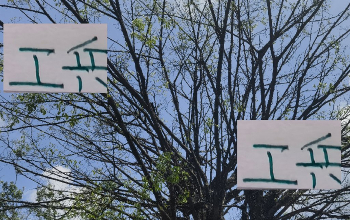 中超前四后腰合同齐到期，海港如萨出勤王，国安古加真成累赘？