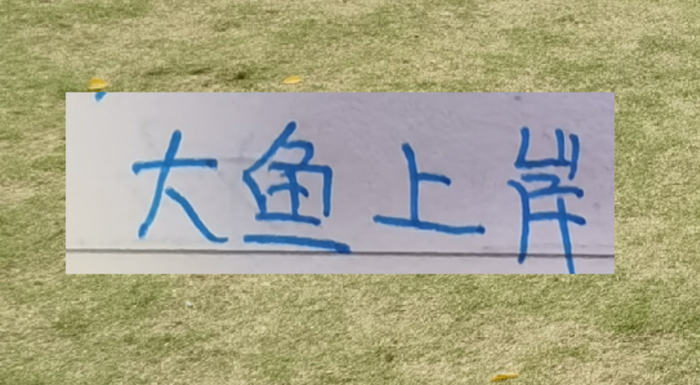 海港青春风暴启幕，杨希加盟打响新赛季