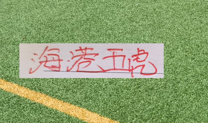 2026赛季还没开始，海港五大主力就全伤了，这次能争冠靠谁？