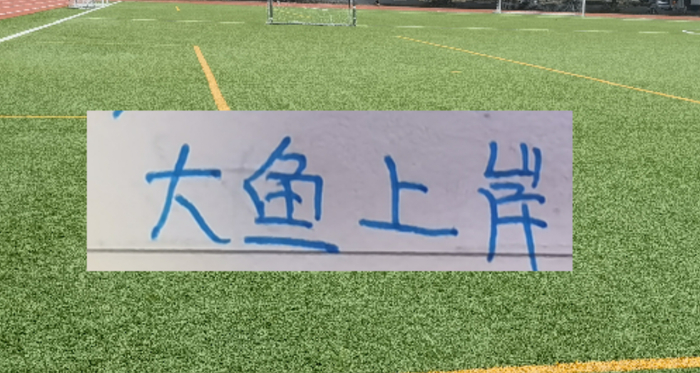 比个儿大小都不一样，双雄引援风格各异真让人直呼搞笑！