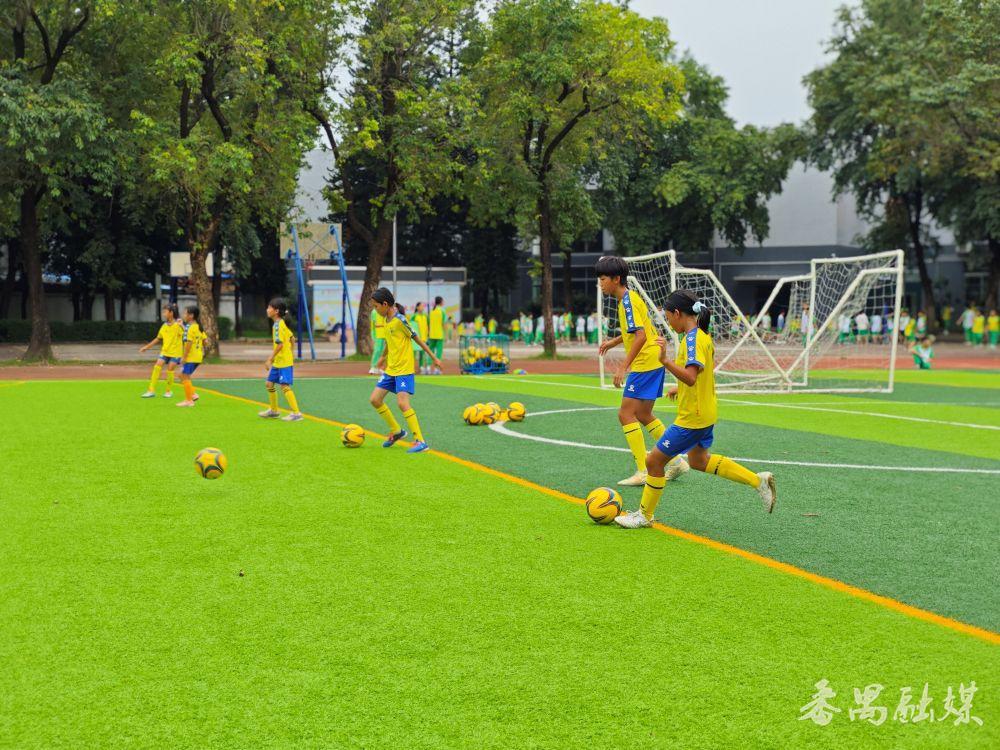 番禺足球青训体系成型，校园、足协、俱乐部联动发力