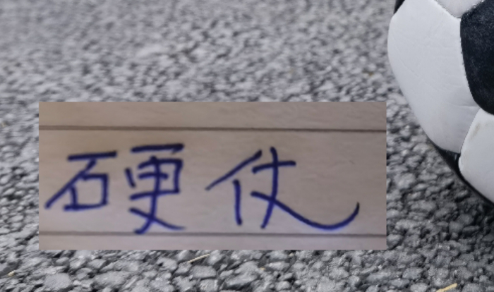 申花官宣米洛耶维奇上任，接下来4场都是硬仗