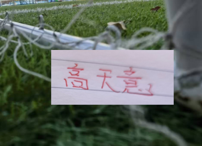申花仅高天意入选国足名单 北京国安仅归化球员塞尔吉尼奥入选