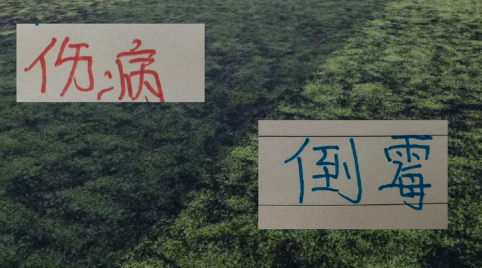 中超卫冕冠军海港伤员复出时间表：吾米提江或10月10日回归