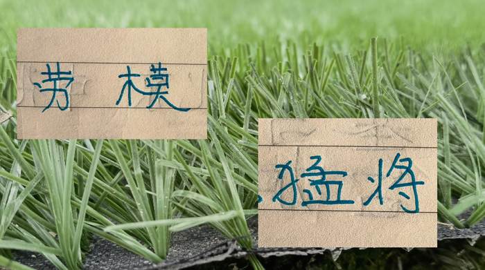申花球员抗伤能力突出 朱辰杰全勤贡献4球2助