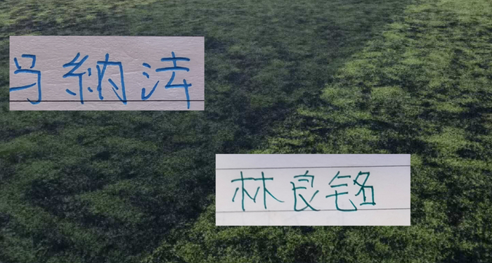 申花马纳法、国安林良铭、海港安佩姆谁将续约？