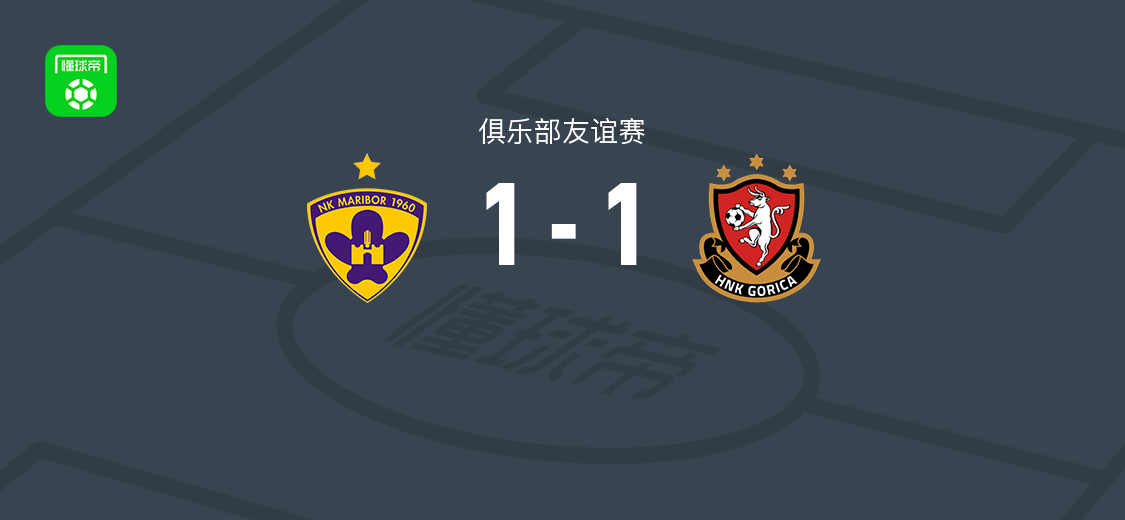 马里博尔1-1 HNK戈里察，埃尔采格破门，费塔扳平比分