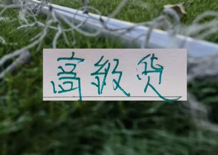降级主力或成豪门争抢目标 韦林顿-席尔瓦转会成都蓉城引关注