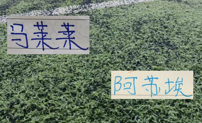 阿苏埃上演帽子戏法助申花5比4胜蓉城,当选中超第24轮最佳