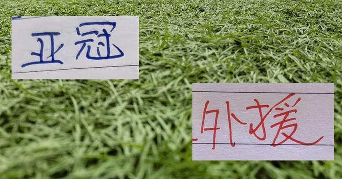 亚运会结束 申花海港国安球员回归 10天后将迎亚冠精英赛