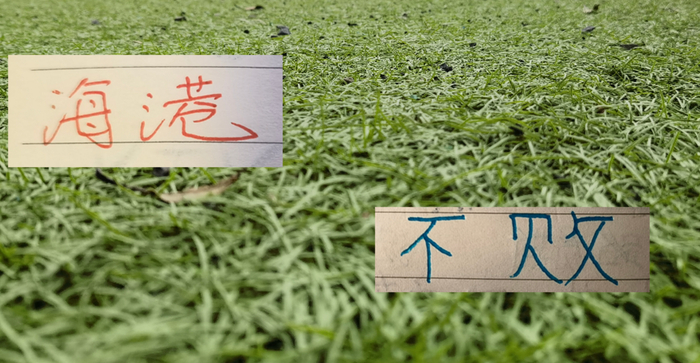 8场不败的海港下周末迎战浙江，能否延续强势？