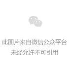 韦世豪致歉：国庆假期比赛表现难看，中国男足0比5惨败巴勒斯坦