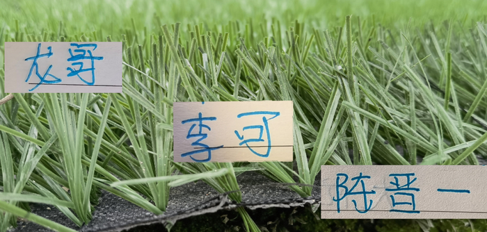 申花官方发布亚运球员归队照 蒋圣龙伤愈或复出