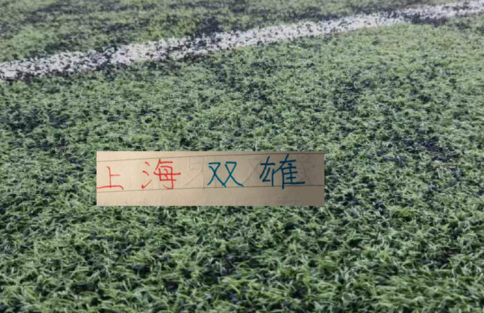 上海双雄火力全开：海港亚冠6球大胜 申花7球横扫对手